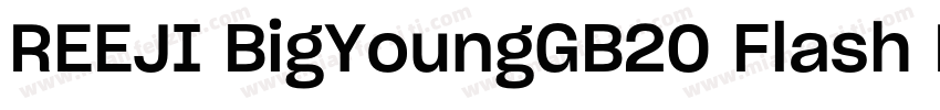 REEJI BigYoungGB20 Flash Medium字体转换
